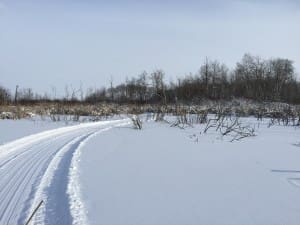 IMG_4418