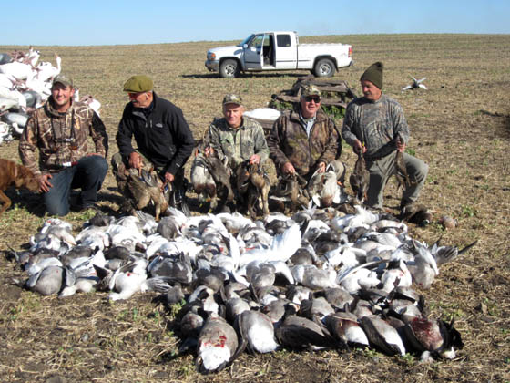 Manitoba Goose hunting