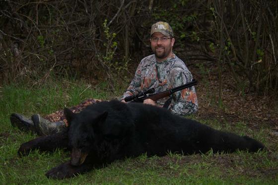 Manitoba black bear