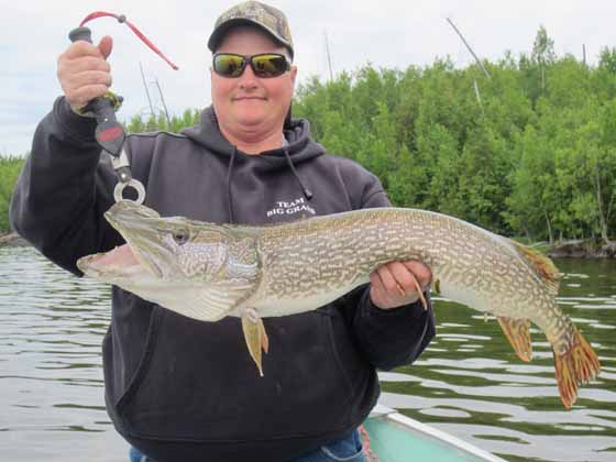 Northern Pike