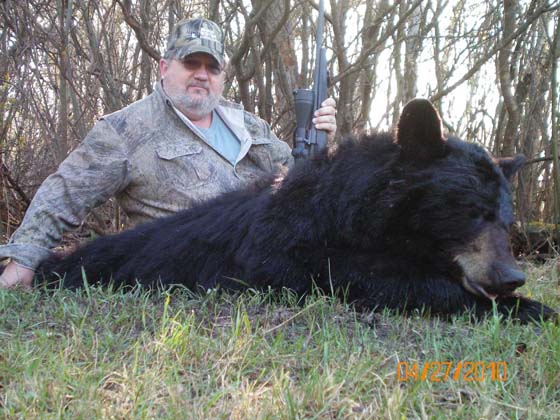 Manitoba bear hunt