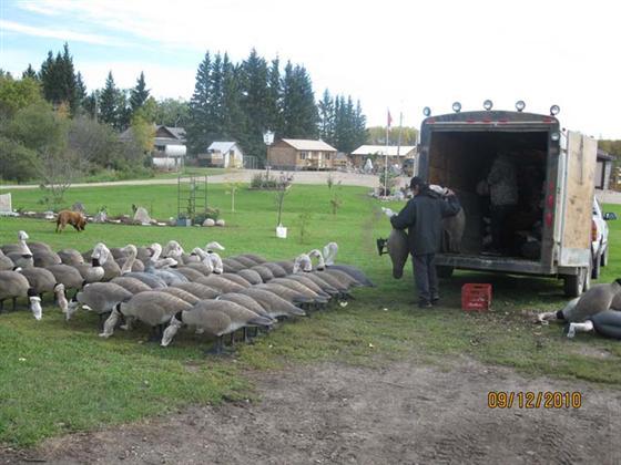 Big Foot decoys, Final approach blinds