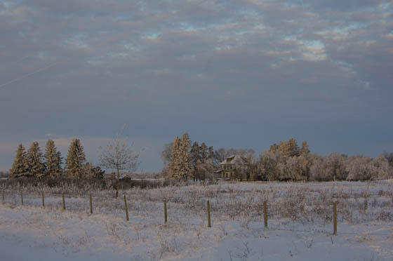 Coulters homestead