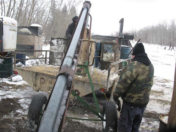 manitoba bear hunting