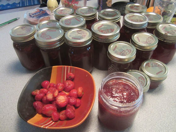 Strawberry Jam