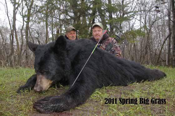 bowhunting black bear in Manitoba