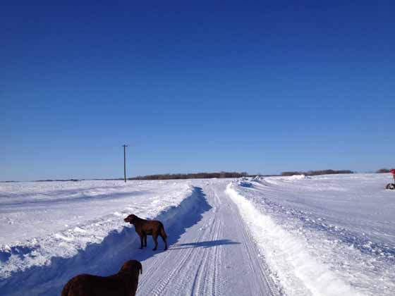 Lots of snow