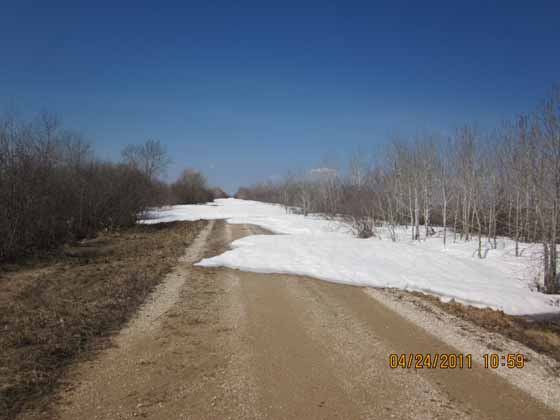 Snow banks 4 feet deep