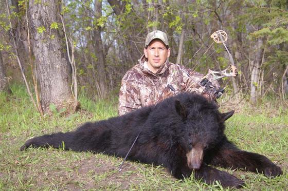 Manitoba bear hunts