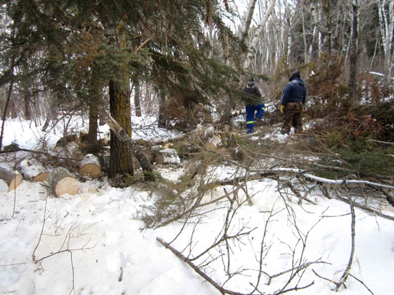 Winter in Manitoba